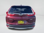 2019 CR-V Thumbnail 5