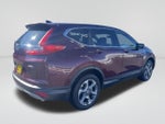 2019 CR-V Thumbnail 6