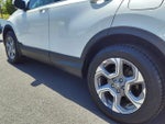2019 CR-V Thumbnail 4