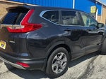 2019 CR-V Thumbnail 6