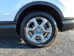 2019 CR-V Thumbnail 24