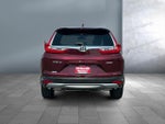 2019 CR-V Thumbnail 5