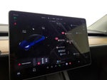2023 Model Y Thumbnail 13
