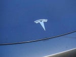 2023 Model Y Thumbnail 12