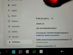 2024 Model Y Thumbnail 14