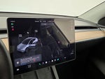 2025 Model Y Thumbnail 13