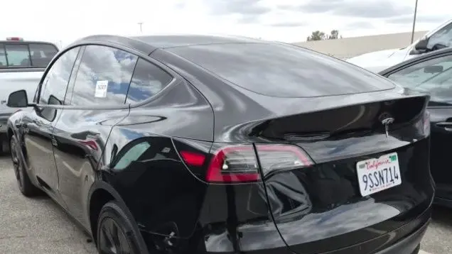 2025 Tesla Model Y Long Range