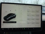 2024 Model Y Thumbnail 15