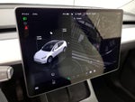 2023 Model Y Thumbnail 14