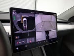 2023 Model Y Thumbnail 14