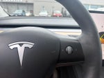 2024 Model Y Thumbnail 11