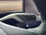 2024 Model Y Thumbnail 22