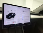 2025 Model Y Thumbnail 13