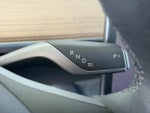 2024 Model Y Thumbnail 19