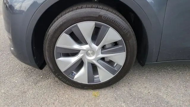 2023 Tesla Model Y Base
