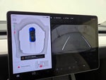2023 Model Y Thumbnail 14
