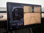 2024 Model Y Thumbnail 13