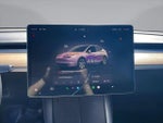 2022 Model Y Thumbnail 19