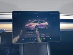 2022 Model Y Thumbnail 19
