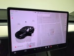 2024 Model Y Thumbnail 13