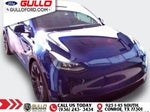 2022 Model Y Thumbnail 7