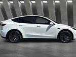2023 Model Y Thumbnail 12
