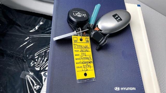 2026 Hyundai IONIQ 9 Performance Calligraphy
