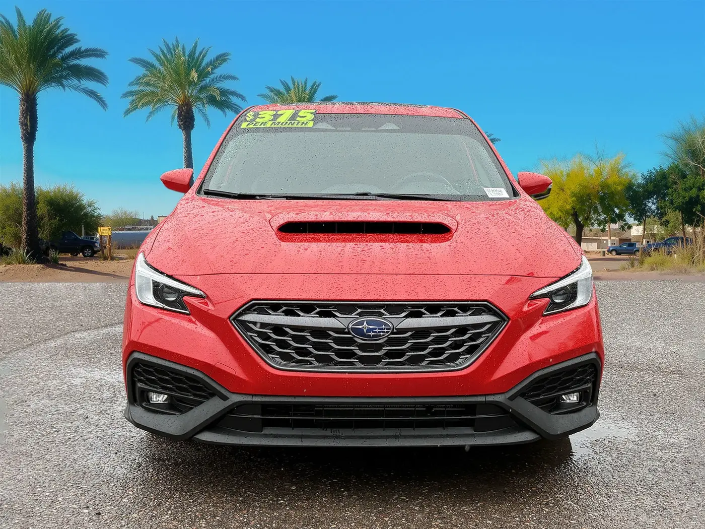 2024 Subaru WRX