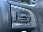 2016 Crosstrek Thumbnail 19