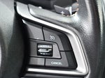 2019 Crosstrek Thumbnail 31