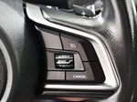 2019 Crosstrek Thumbnail 31