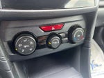 2019 Crosstrek Thumbnail 30