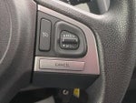 2017 Forester Thumbnail 15