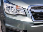 2018 Forester Thumbnail 10