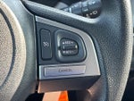 2018 Forester Thumbnail 28