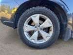 2016 Forester Thumbnail 14