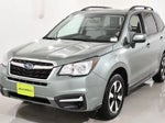 2017 Forester Thumbnail 2