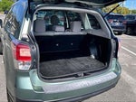 2018 Forester Thumbnail 37