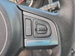 2017 Forester Thumbnail 19