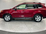 2015 Forester Thumbnail 2