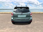 2017 Forester Thumbnail 11