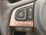 2018 Forester Thumbnail 28
