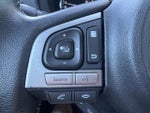 2017 Forester Thumbnail 13