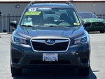2019 Forester Thumbnail 12