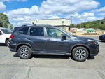 2019 Forester Thumbnail 5