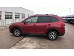 2022 Forester Thumbnail 5