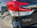 2019 Forester Thumbnail 25