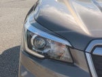2019 Forester Thumbnail 18