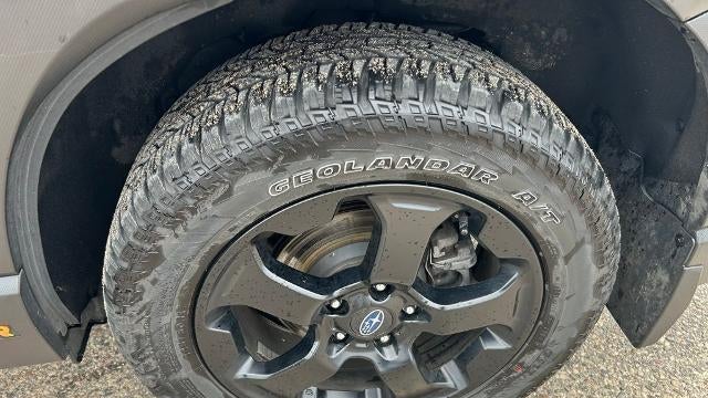 2024 Subaru Forester Wilderness