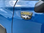 2024 Forester Thumbnail 23